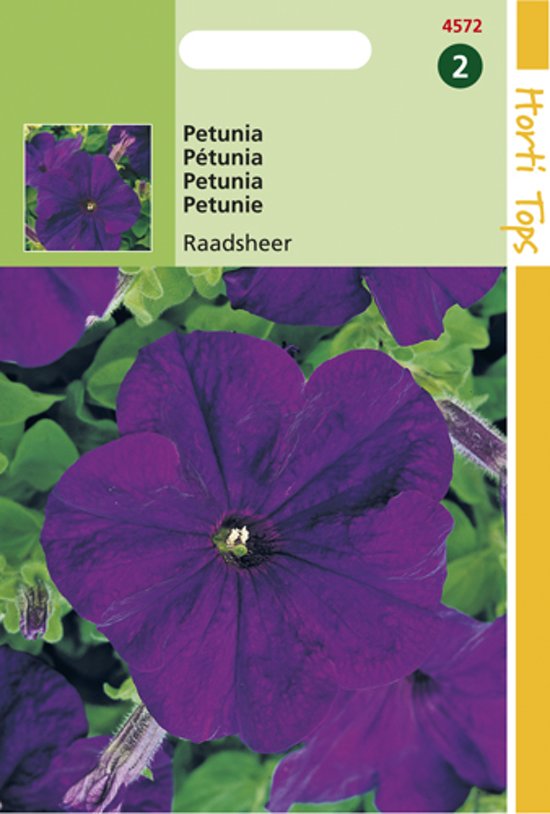 Petunia Alderman, Raadsheer - 2000 zaden HT
